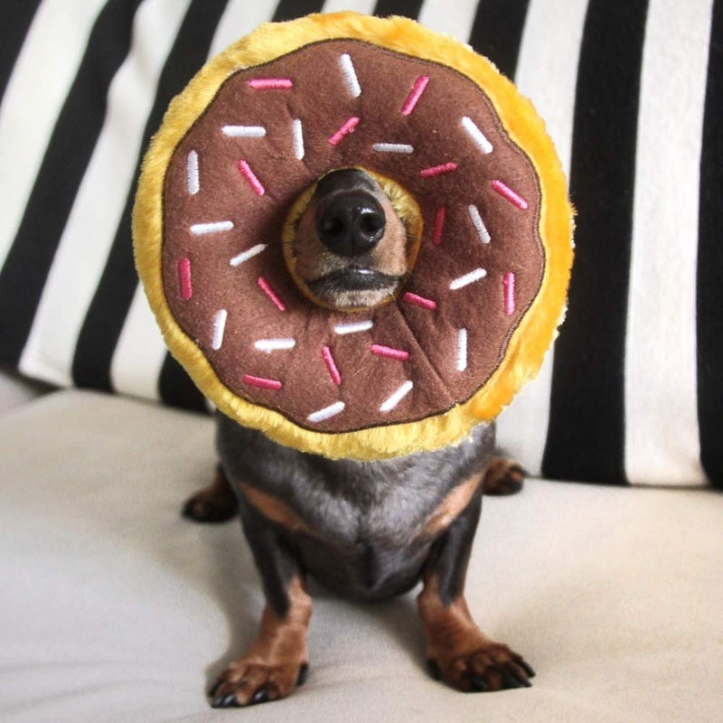 ZippyPaws Donutz - No Stuffing Dog Toys to Keep Them Busy, for Small and Medium Dogs, Squeaky Pet Toy for Boredom, Unstuffed Chew Toy, Soft Plush Puppy Products, Funny Food Toy - Chocolate Donut - Image 4